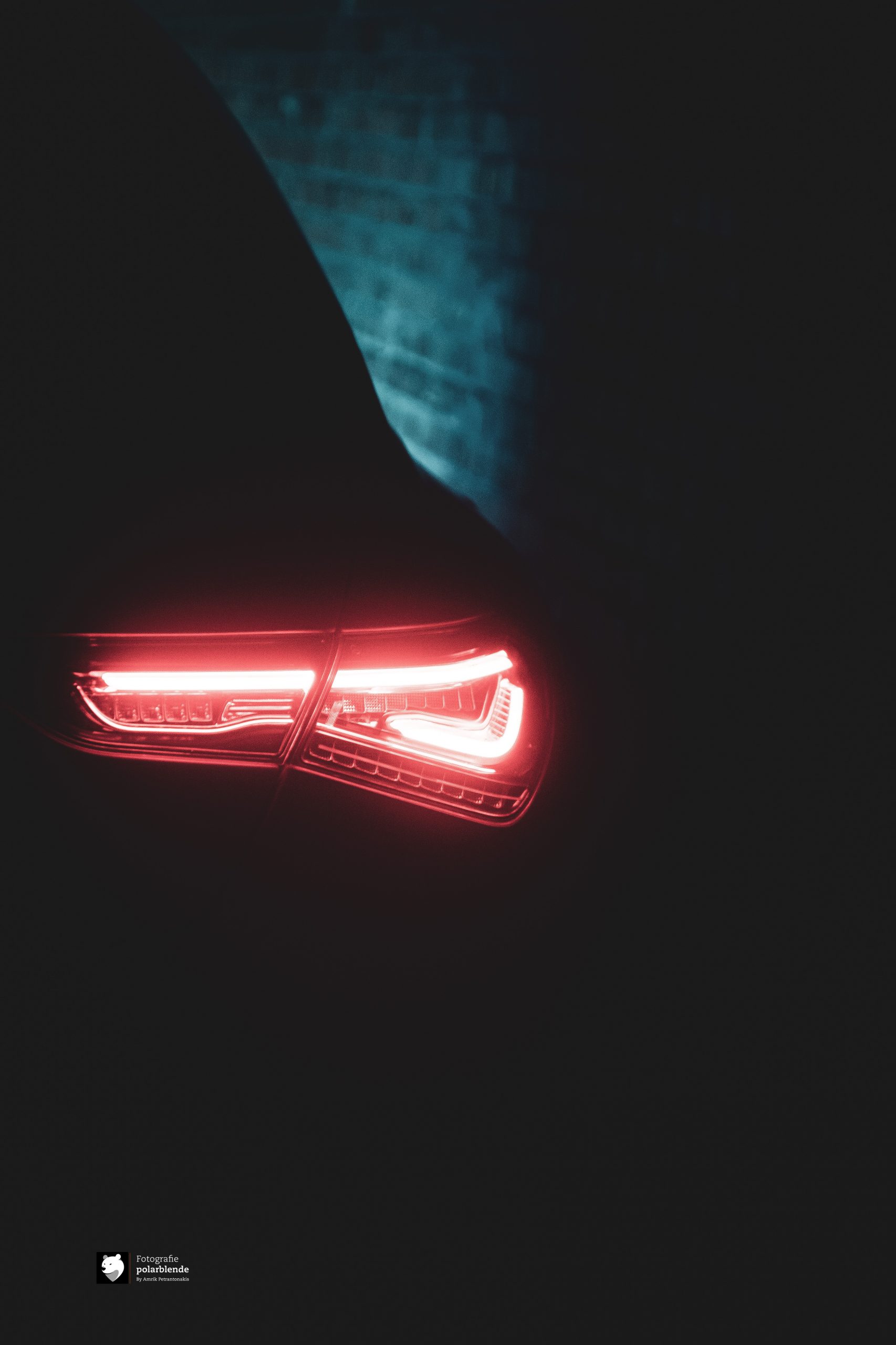 car Tierfotograf polarblende - Auto Technik