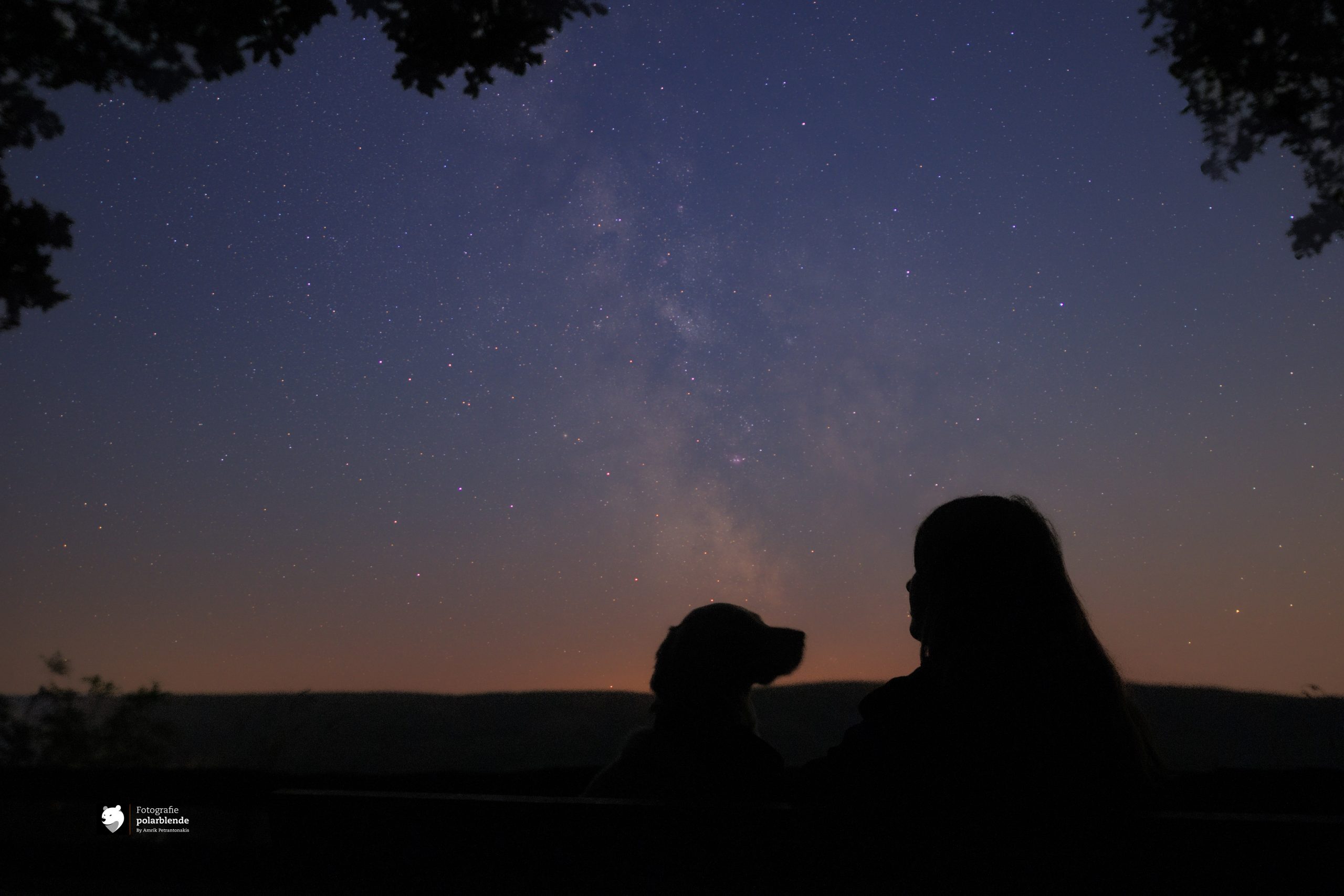 Tierfotograf polarblende - Hund & Sterne